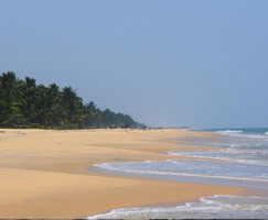 Honeymoon In Kollam