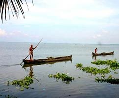 Kollam Tourism Honeymoon