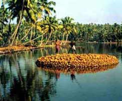 Kollam Tour Package