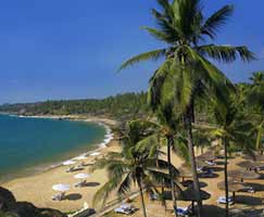 Package Tour To Kollam