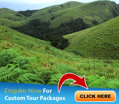 Kollam Tour Packages